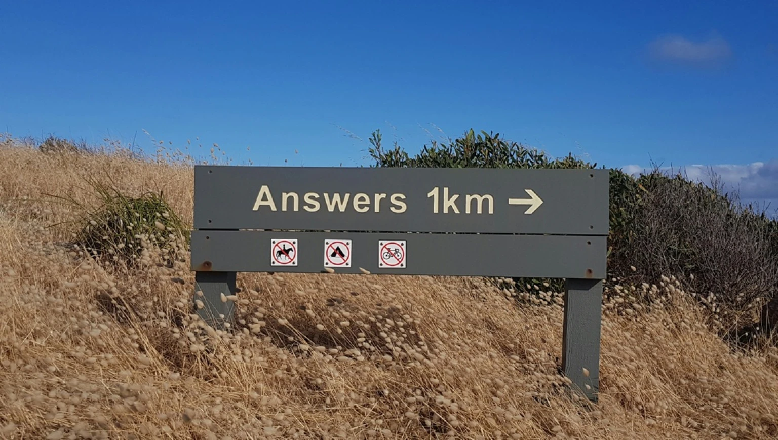 Are You Asking the Right Questions?