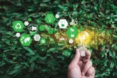 Why your green startup needs to take part in the eco-Disruptive Challenge
