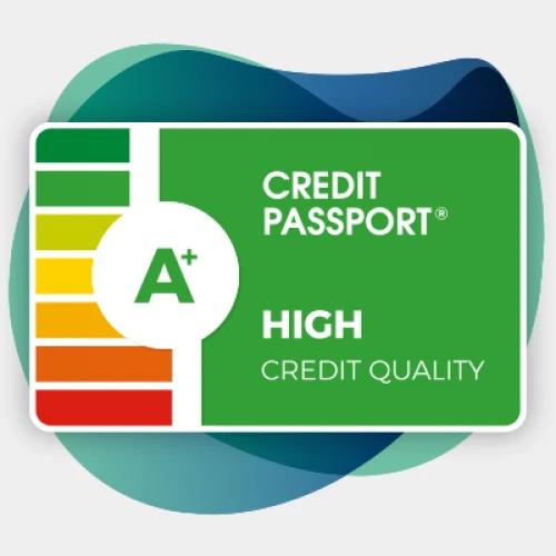 Credit Passport | Small business credit score